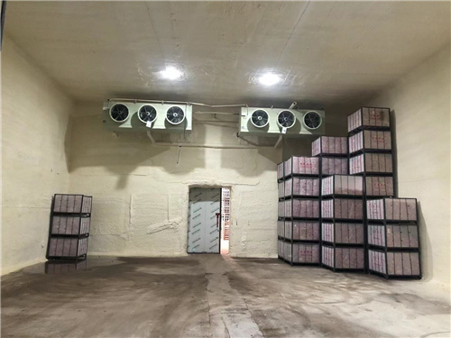 马博(中国)苹果冷库安装案例